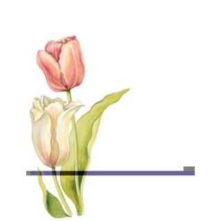 Labels - Tulips  (4 Labels - /Sheet) (BN80)
