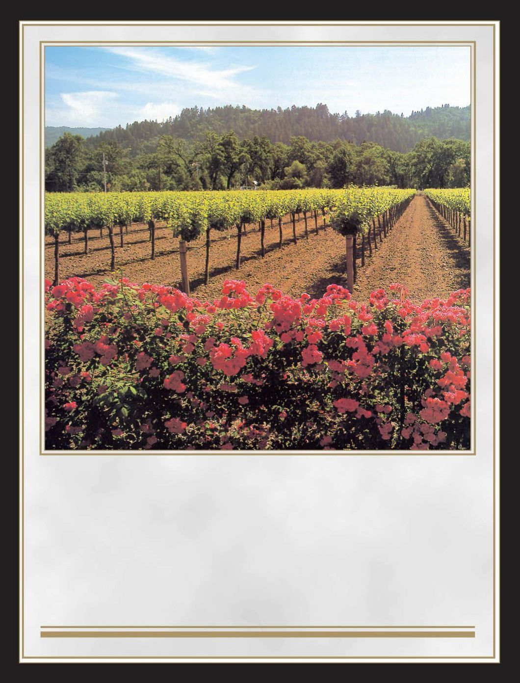 Labels - Vineyard  (4 Labels - /Sheet) (BN80)
