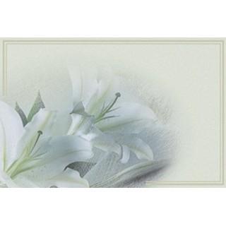 Labels - Lilies 1/2 size (8 Labels - /Sheet) (BN80)