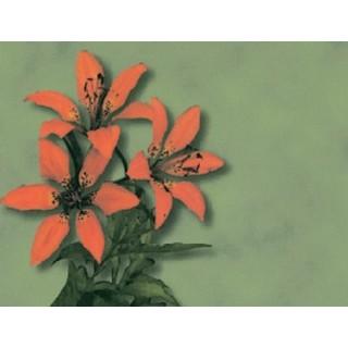 Labels - Red Lilies (4 Labels - /Sheet) (BN80)
