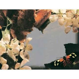 Labels - Apple Blossoms (4 Labels - /Sheet) (BN80)