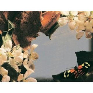Labels - Apple Blossoms (4 Labels - /Sheet) (BN80)
