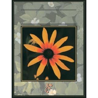 Labels - Black Eyed Susan (4 Labels - /Sheet) (BN80)