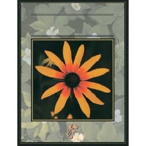 Labels - Black Eyed Susan (4 Labels - /Sheet) (BN80)