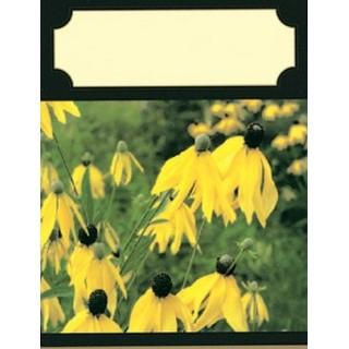 Labels - Yellow Flowers (4 Labels - /Sheet) (BN80)