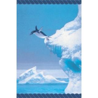 Labels - Ice Style (4 Labels - /Sheet) (BN80)