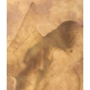Labels - Faded Angel (4 Labels - /Sheet) (BN50)