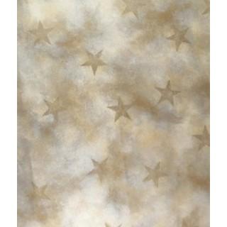 Labels - Stars (4 Labels - /Sheet) (BN50)